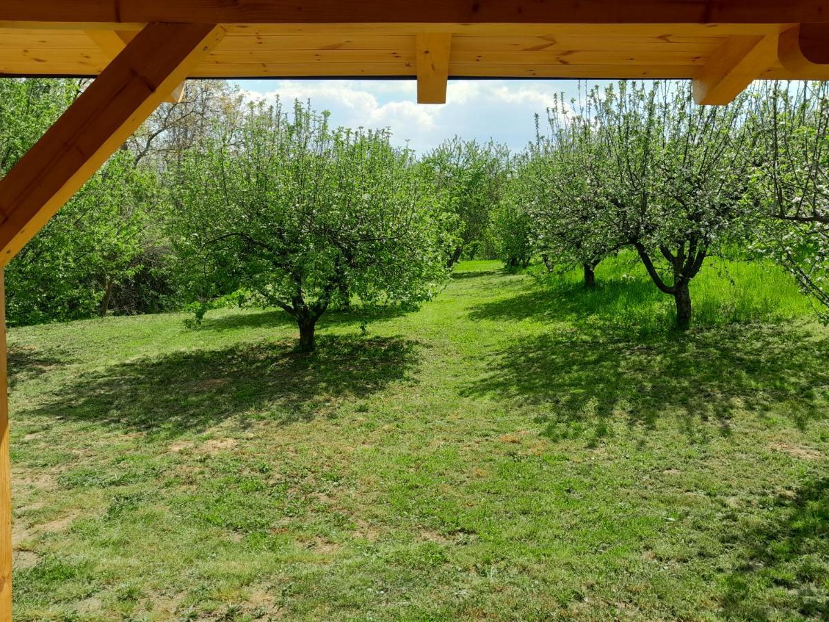 Nica Wood Sremska Kamenica Exterior foto