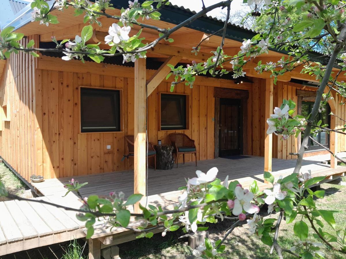 Nica Wood Sremska Kamenica Exterior foto