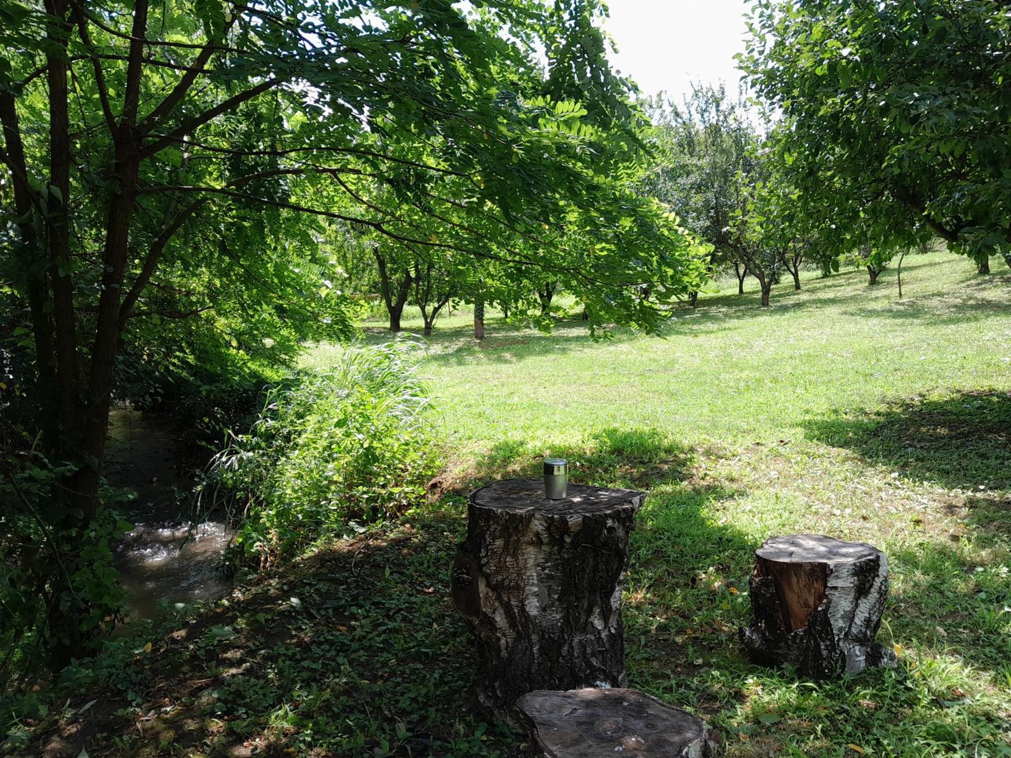 Nica Wood Sremska Kamenica Exterior foto