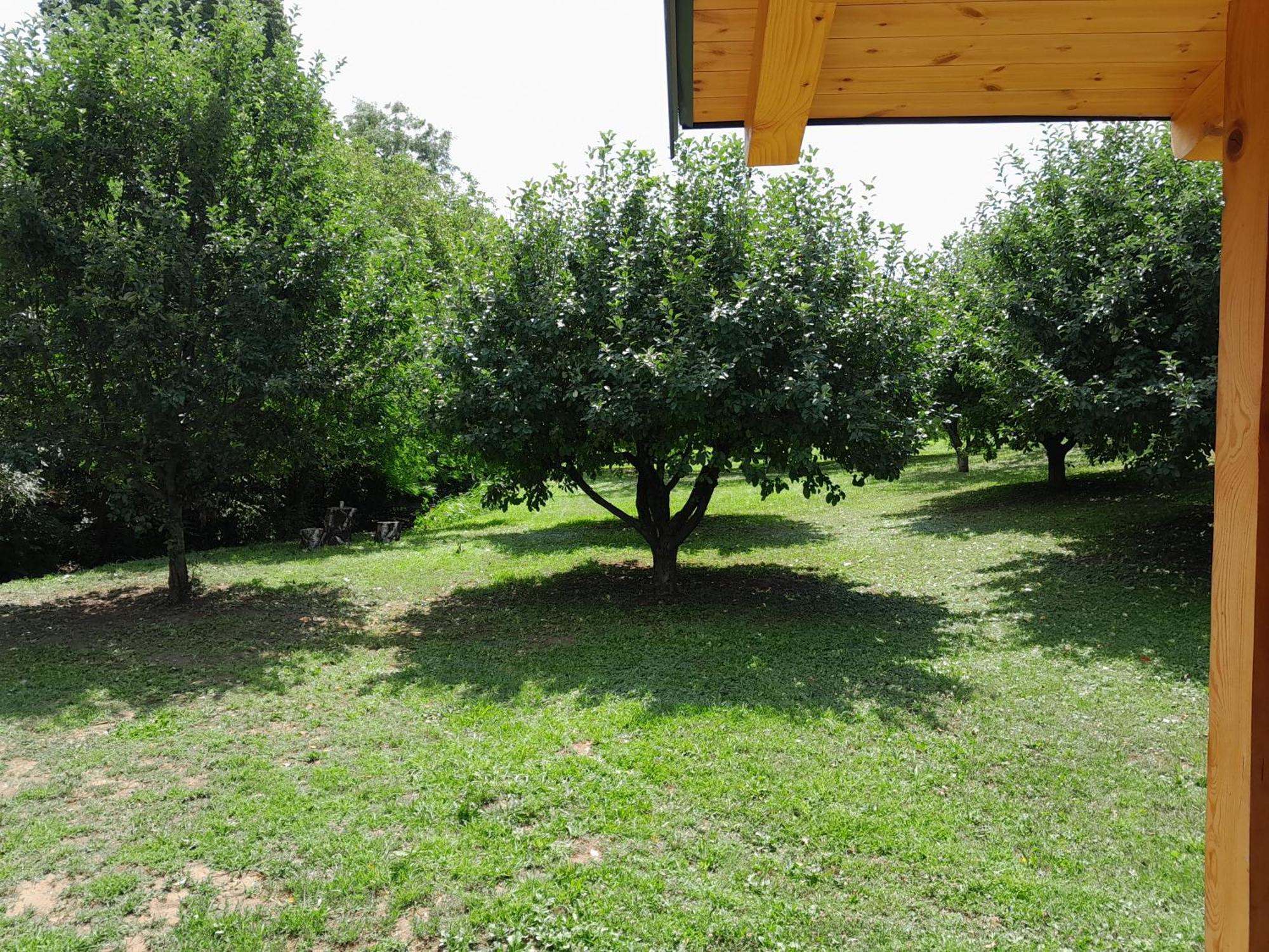 Nica Wood Sremska Kamenica Exterior foto