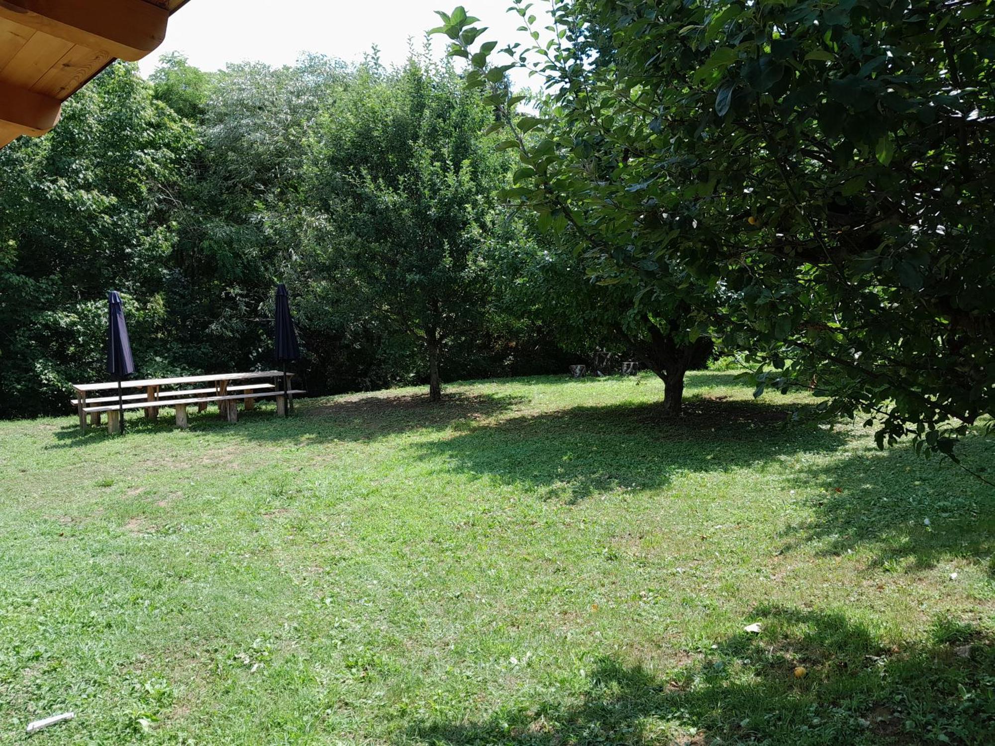 Nica Wood Sremska Kamenica Exterior foto