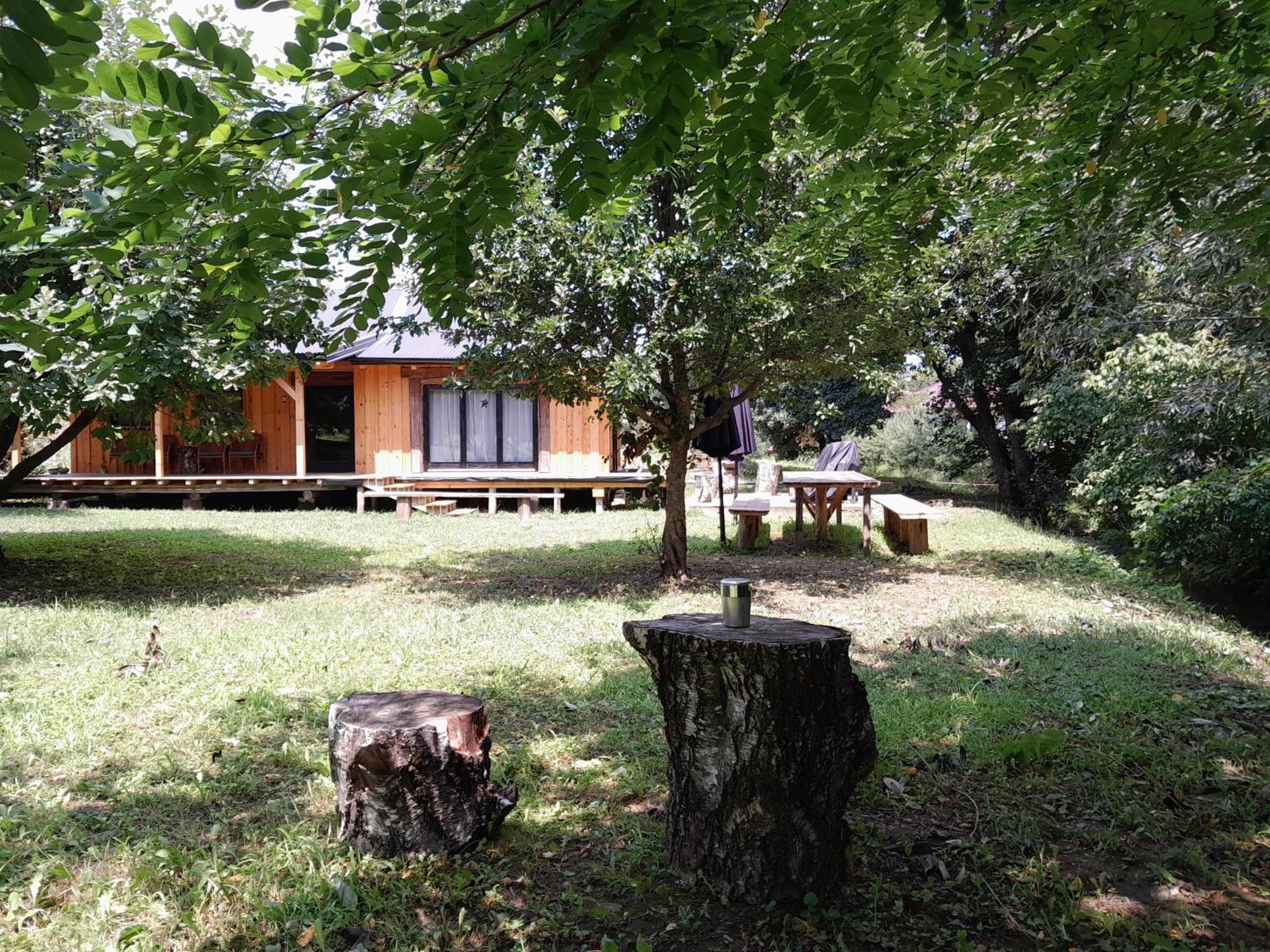 Nica Wood Sremska Kamenica Exterior foto